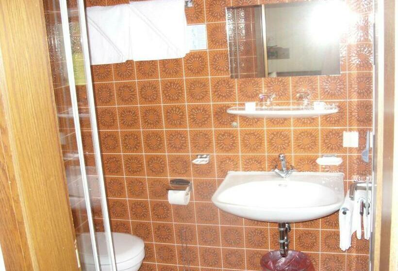 فندق Birkenhof Pension Mit Herz