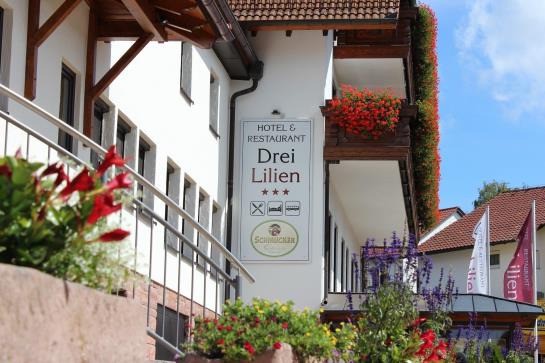 酒店 Drei Lilien