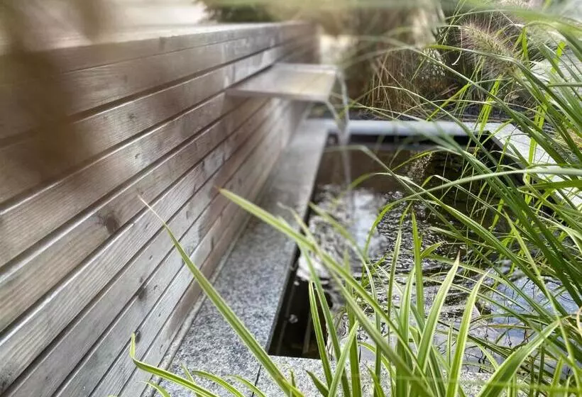 Отель Pension Scharl Am Maibaum