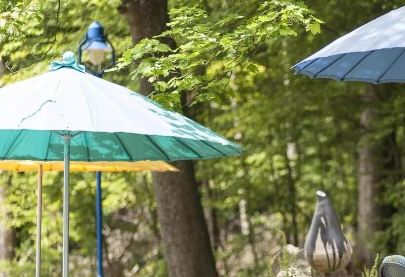 Отель Seminarzentrum Rückersbach