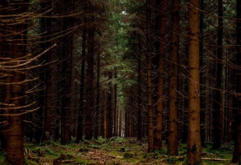 פנסיון Gasthof Adler