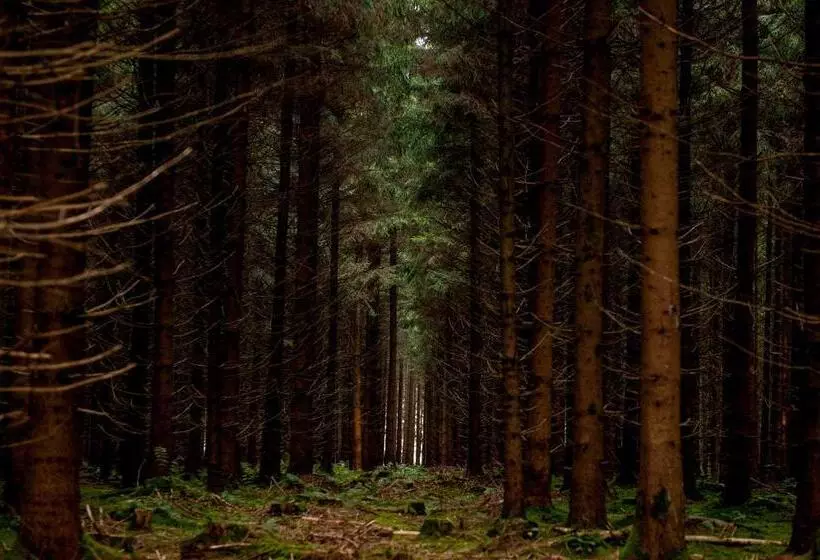 펜션 Gasthof Adler