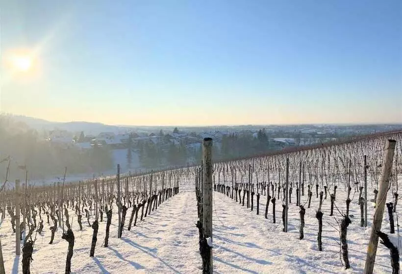 פנסיון Gasthof Engel