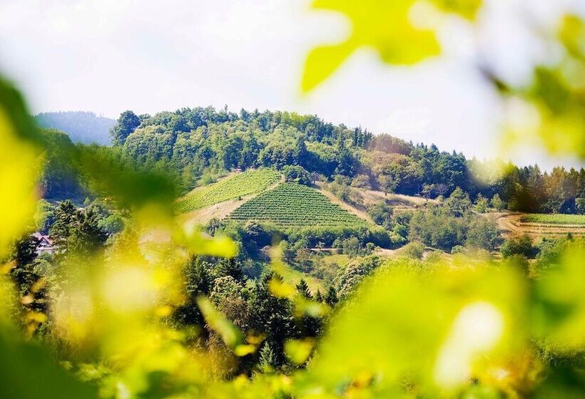 ペンション Gasthof Engel