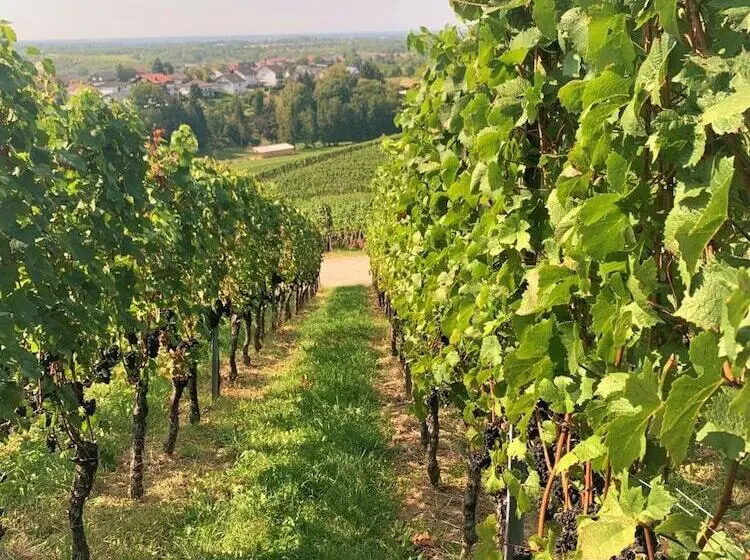 פנסיון Gasthof Engel