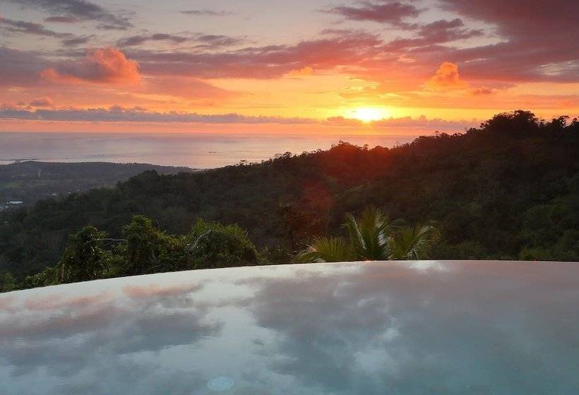 Отель Golden Pineapple Villas