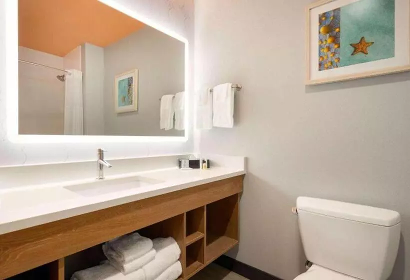 Hotelli La Quinta Inn & Suites By Wyndham San Antonio Seaworld Lafb