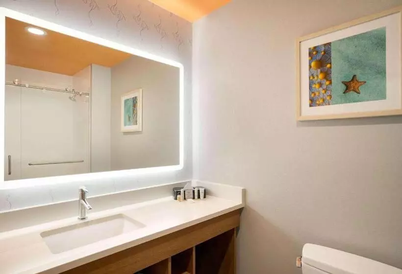 Hotelli La Quinta Inn & Suites By Wyndham San Antonio Seaworld Lafb