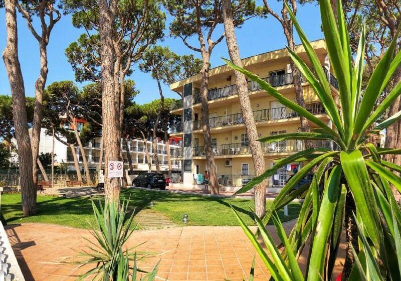 Pins I Mar A 3 7 Only Families