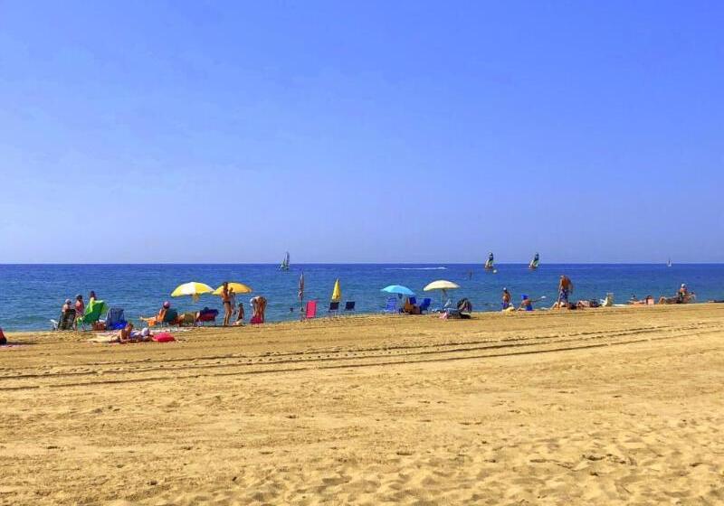 Pins I Mar A 3 7 Only Families