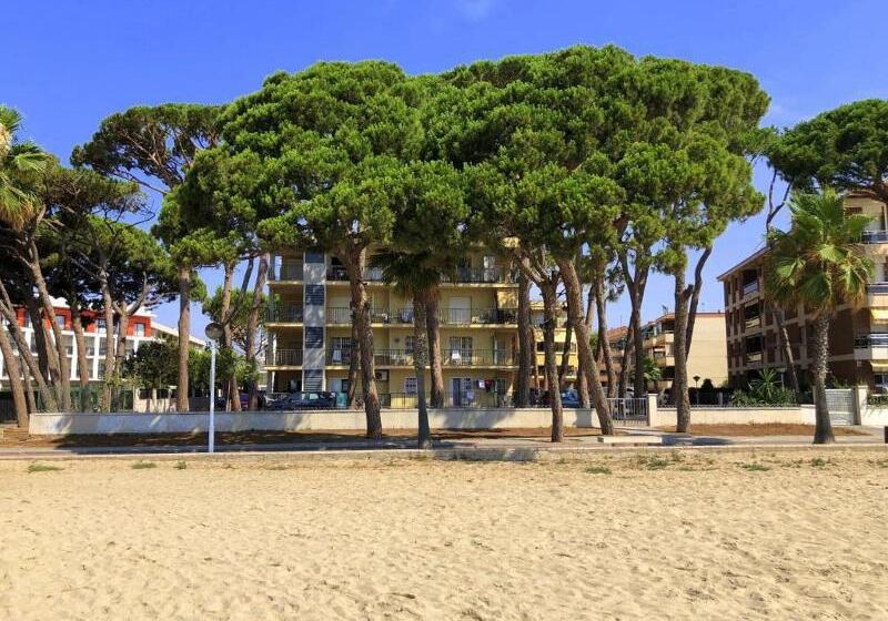 Pins I Mar A 3 7 Only Families