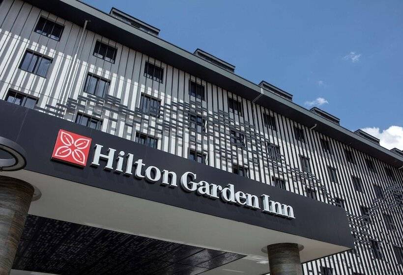 Отель Hilton Garden Inn Erzurum