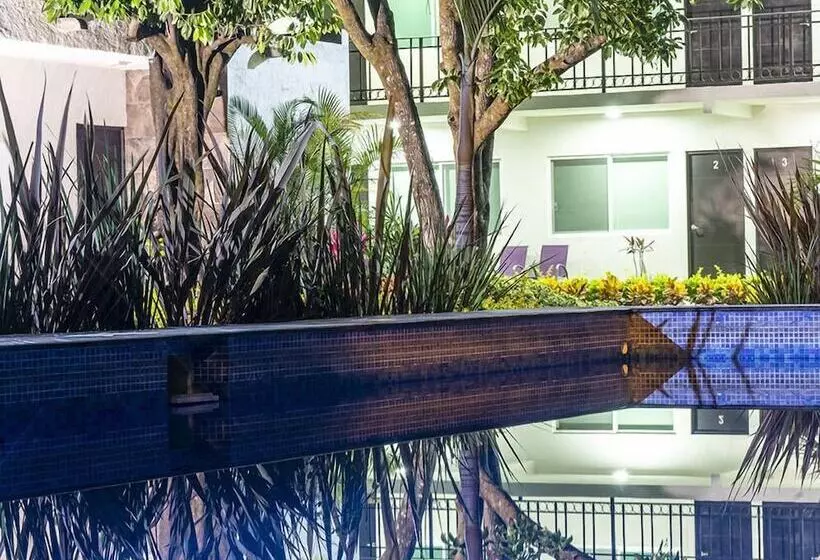 ホテル Suites Milán Room