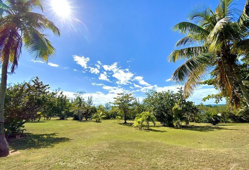 هتل The Sunset Cove And Rainbow Room