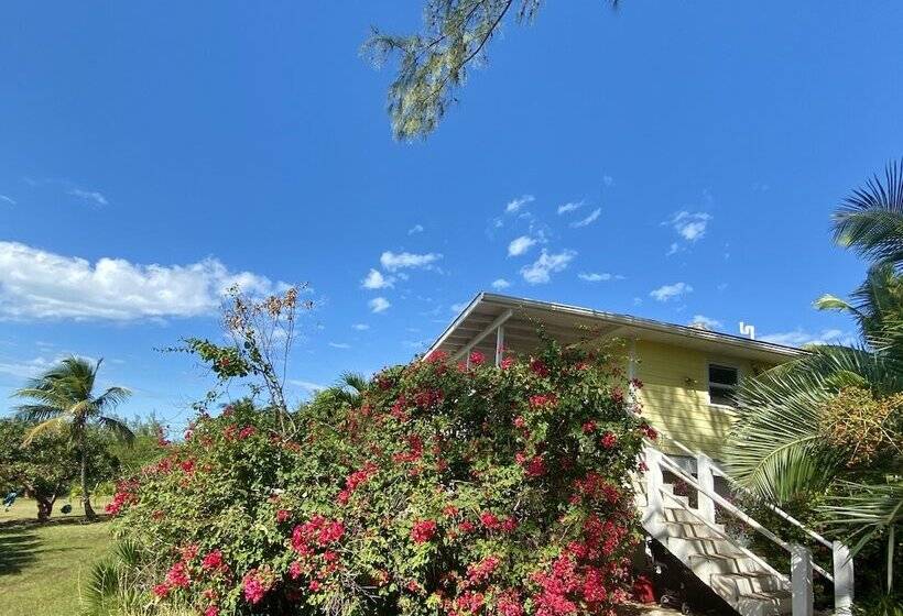 هتل The Sunset Cove And Rainbow Room