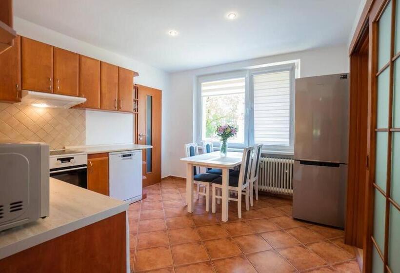 Excellent Large Lux Apartment Central Martin