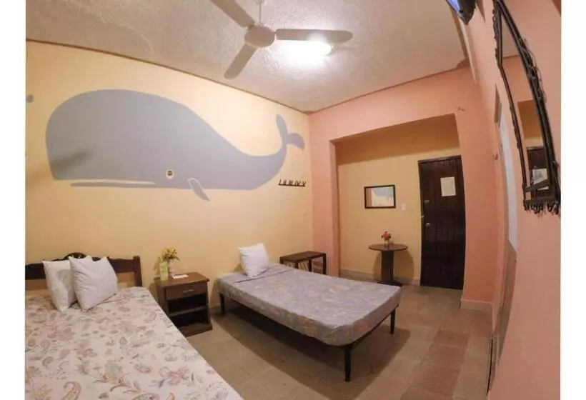 هتل Casa Palma