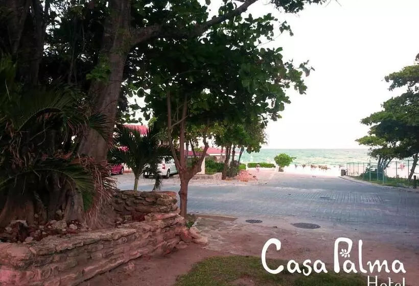 هتل Casa Palma