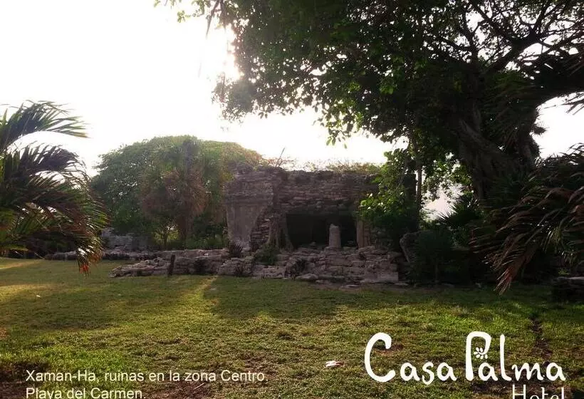 هتل Casa Palma