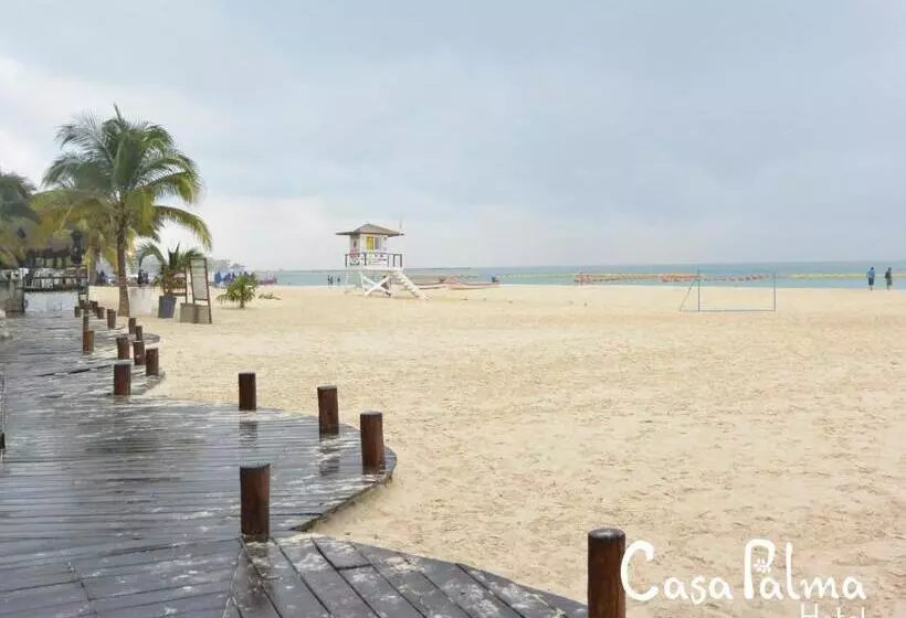 هتل Casa Palma