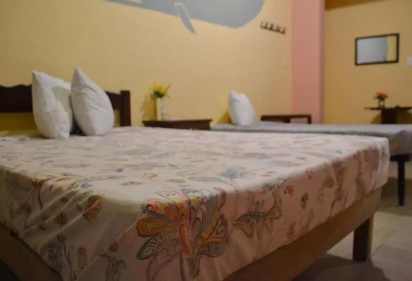هتل Casa Palma