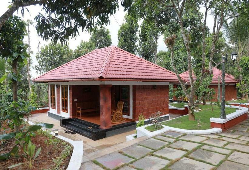 Bed and Breakfast Miracle Holidays