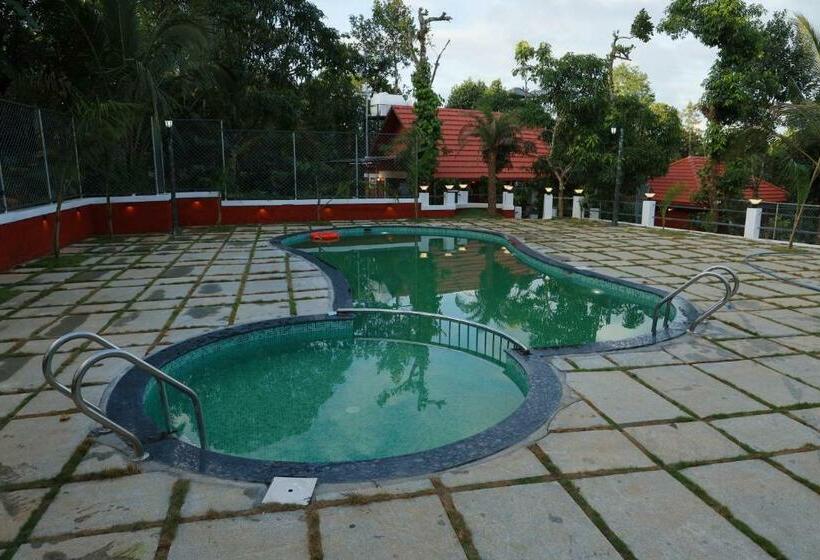 Bed and Breakfast Miracle Holidays