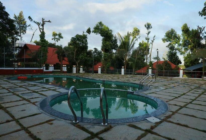 Bed and Breakfast Miracle Holidays