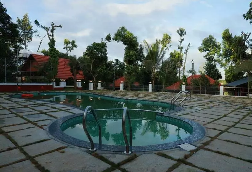 Bed and Breakfast Miracle Holidays