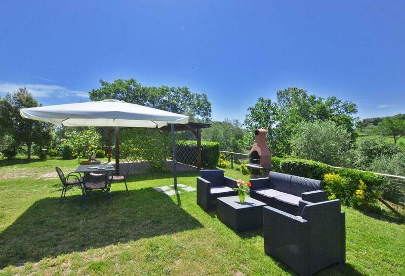 Da Maria   Happy Rentals