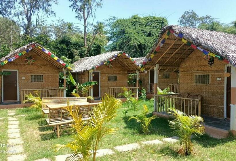 Pensão Island Vibes