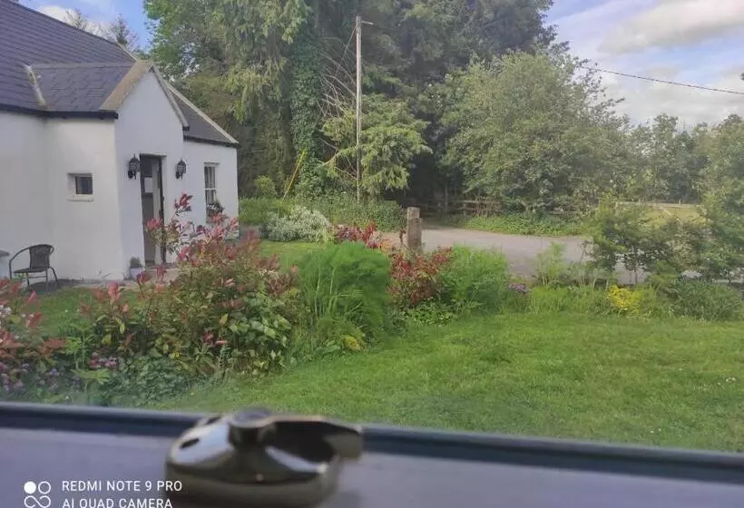 ペンション The Wild Farm Lodge