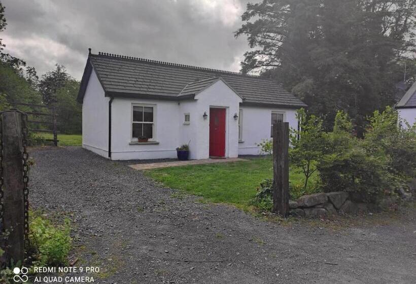 بنسيون The Wild Farm Lodge