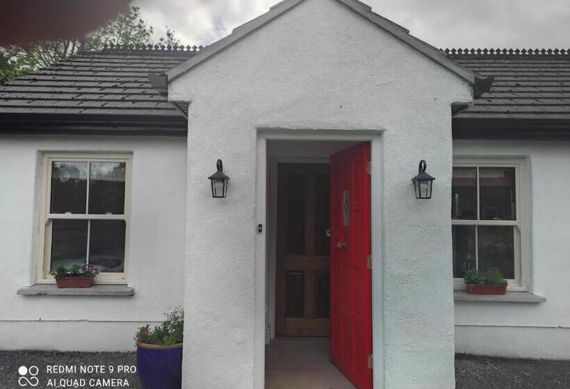 بنسيون The Wild Farm Lodge