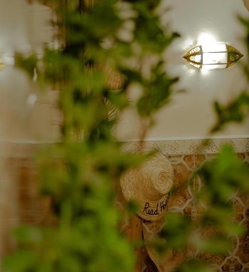 هاستل Riad Hayat