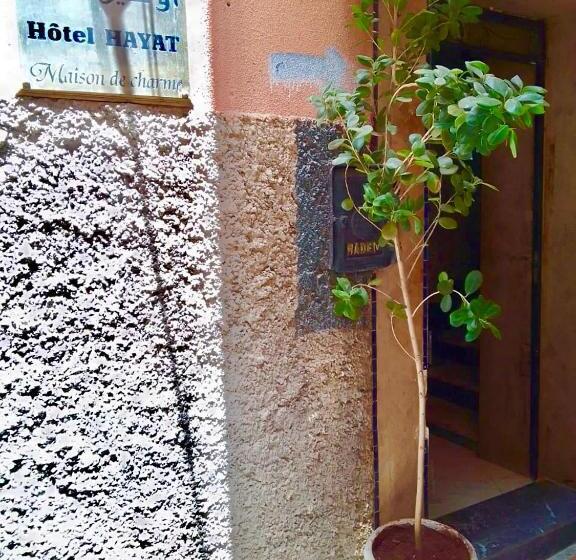 هاستل Riad Hayat