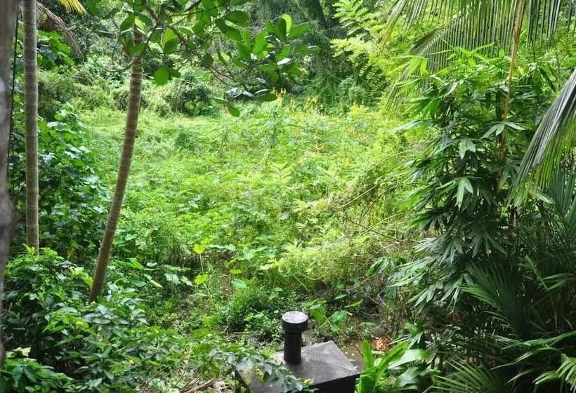 ベッドアンドブレックファースト Jungle Fence