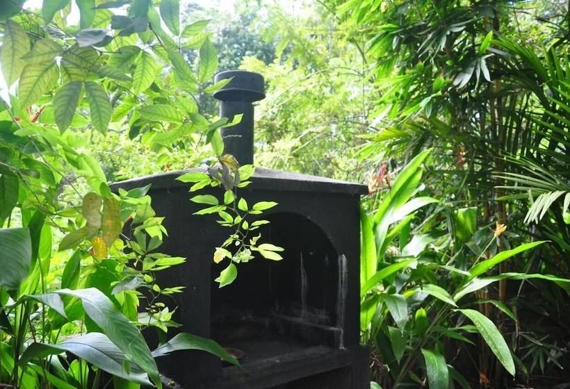 تختخواب و صبحانه Jungle Fence