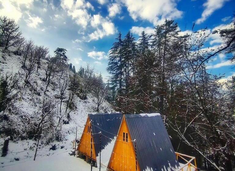 Bed and Breakfast The Heavens Place [cabin]