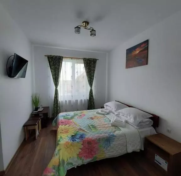 ペンション Casa De La Baltă