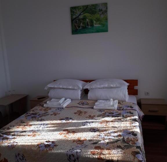 Пансион Casa De La Baltă