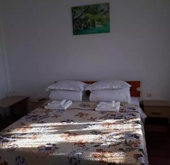 ペンション Casa De La Baltă