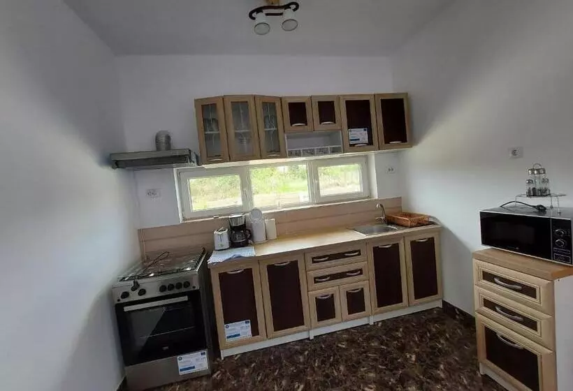 ペンション Casa De La Baltă