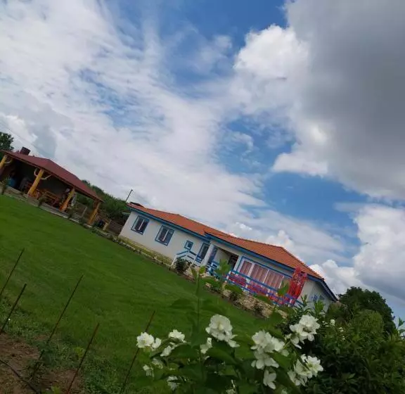 ペンション Casa De La Baltă