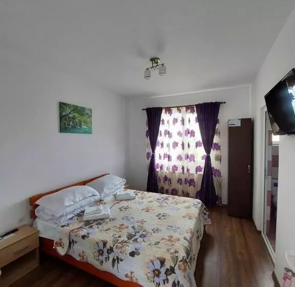 ペンション Casa De La Baltă