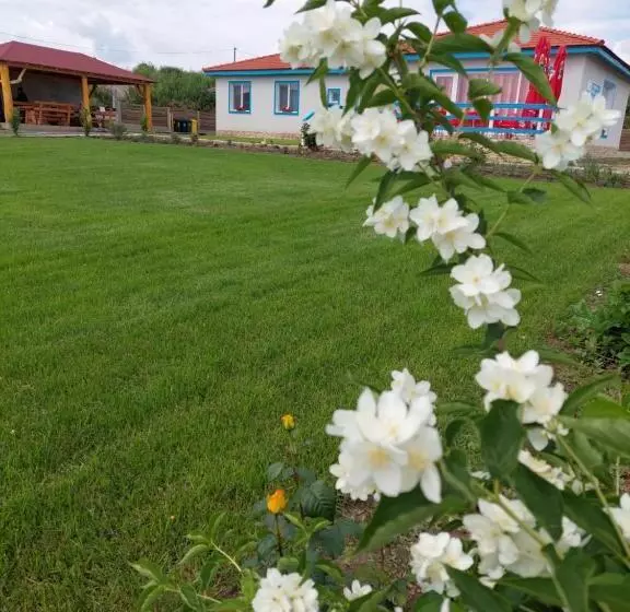 ペンション Casa De La Baltă