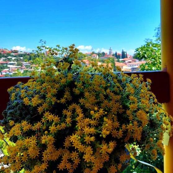 پانسیون Guesthouse Door In Sighnaghi