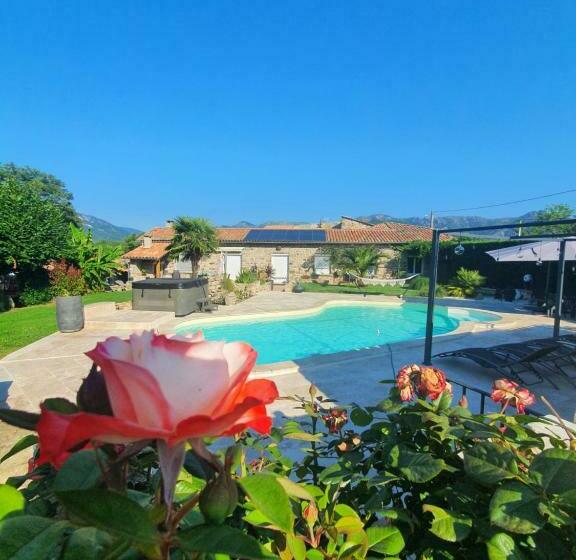 بنسيون La Babounette