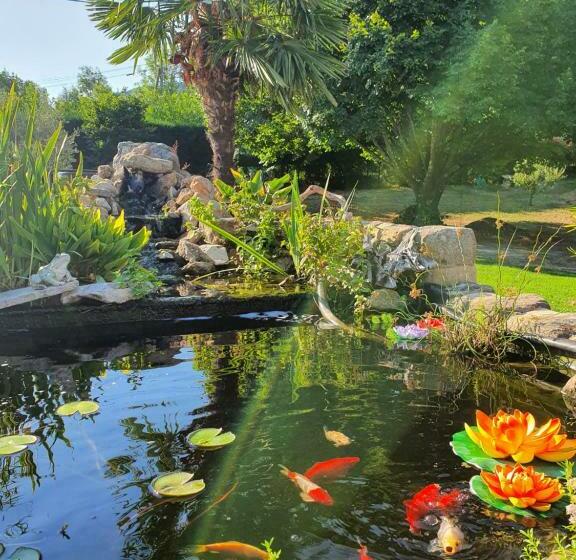 بنسيون La Babounette