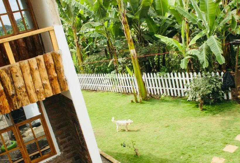 هاستل Arusha Jua Home